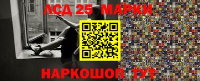 гидра Будённовск