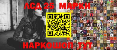 гидра Будённовск