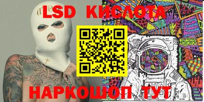 гидра Будённовск