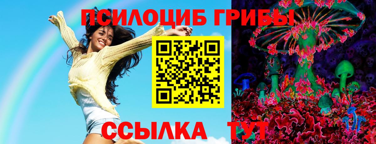 Галлюциногенные грибы Psilocybine cubensis Новокуйбышевск