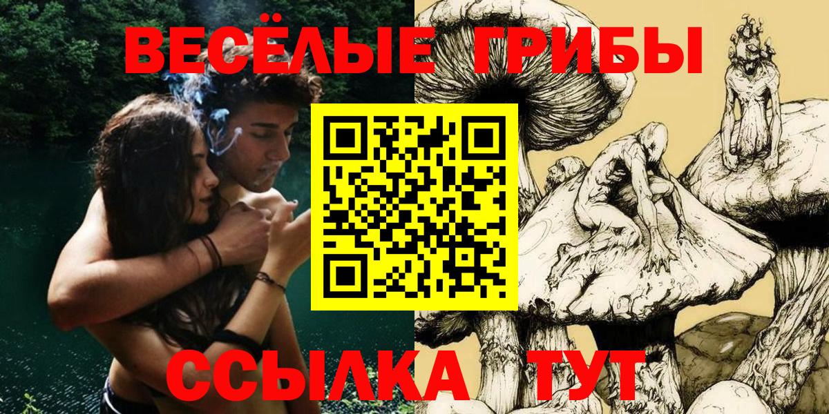 Галлюциногенные грибы Cubensis  Вход с VPN  Новокуйбышевск 